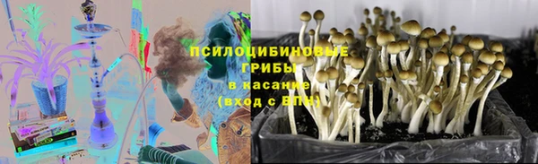 кокс Белокуриха