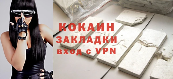 шишки Белоозёрский