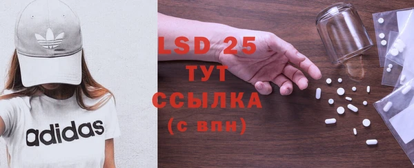 шишки Белоозёрский
