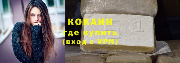 шишки Белоозёрский