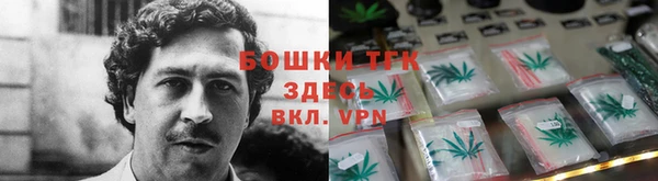 шишки Белоозёрский