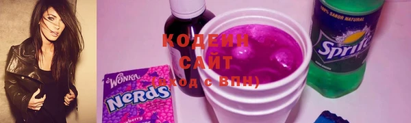 шишки Белоозёрский