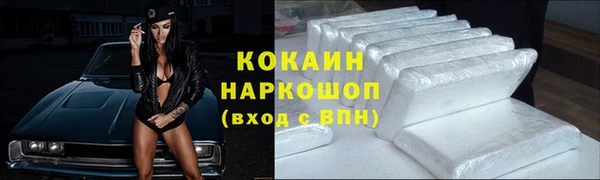 шишки Белоозёрский
