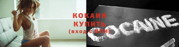 кокс Белокуриха