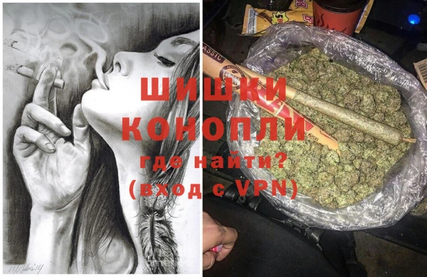 первитин Богданович