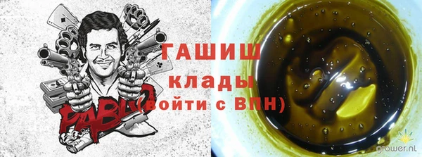 дмт Богородск