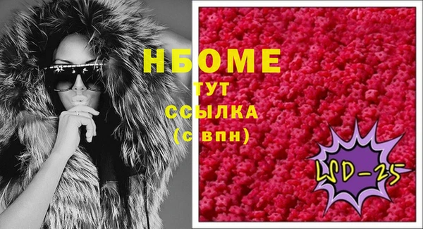 шишки Белоозёрский