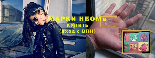 шишки Белоозёрский