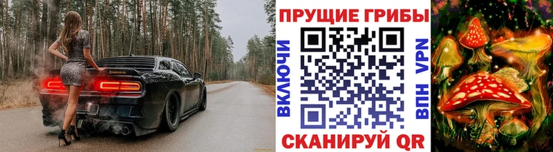 Псилоцибиновые грибы MAGIC MUSHROOMS Михайлов